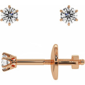 0.1 CTW Moissanite Tiffany-Styled Stud Earrings in Rose Gold thumbnail