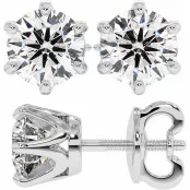 3 CTW Lab Diamond Stud Earrings "Tiffy" thumbnail